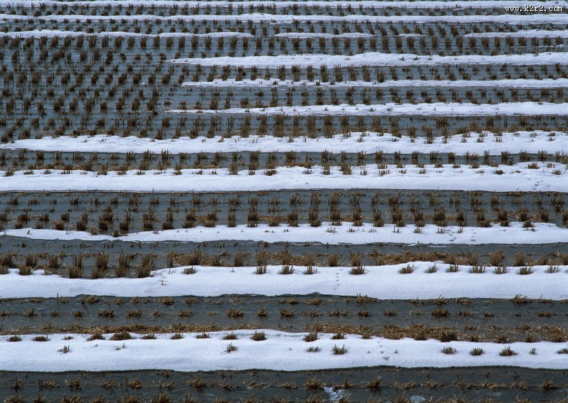 冬季的村庄图片