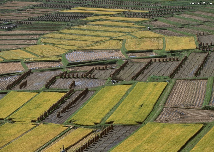 梯田图片