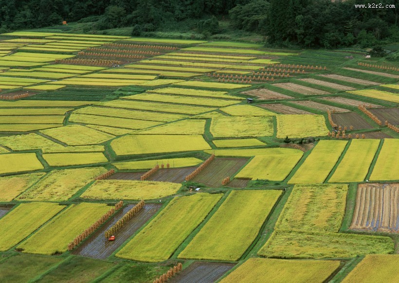 梯田图片
