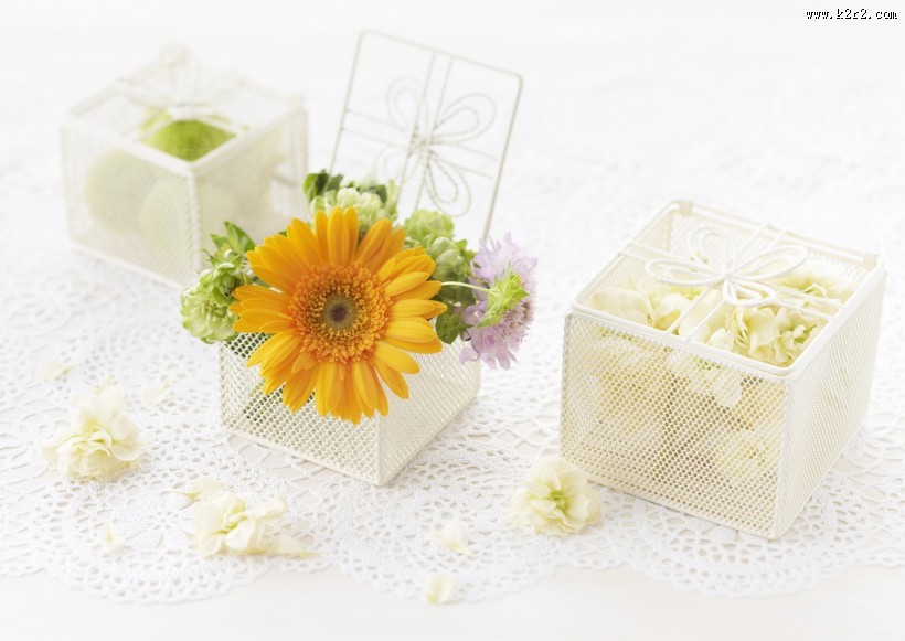 夏季花朵素材图片