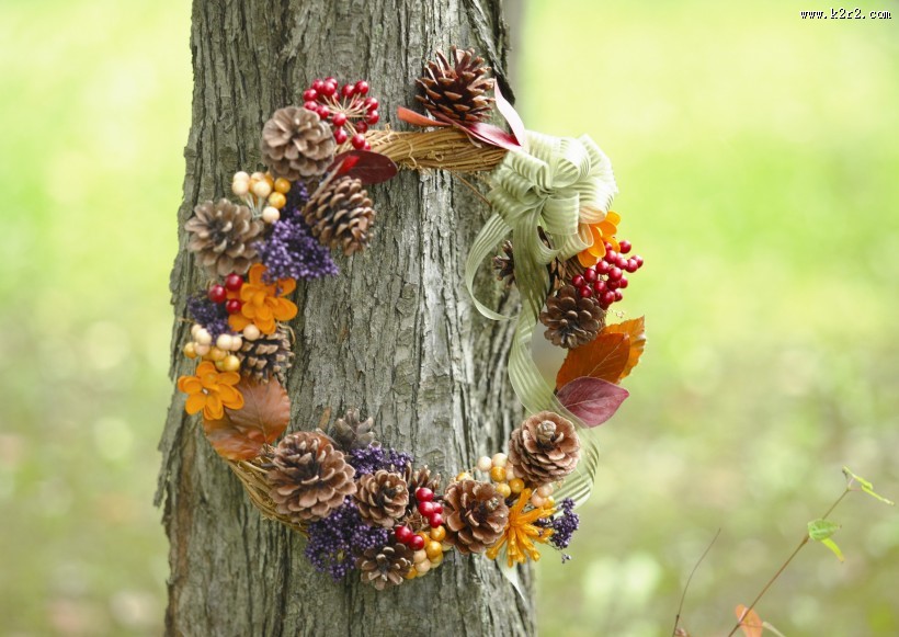 秋季花朵素材图片大全