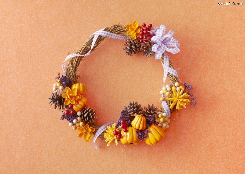 秋季花朵素材图片大全