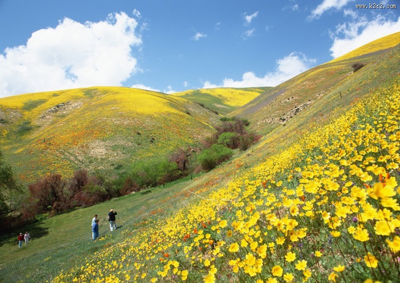 人与绿色大自然图片