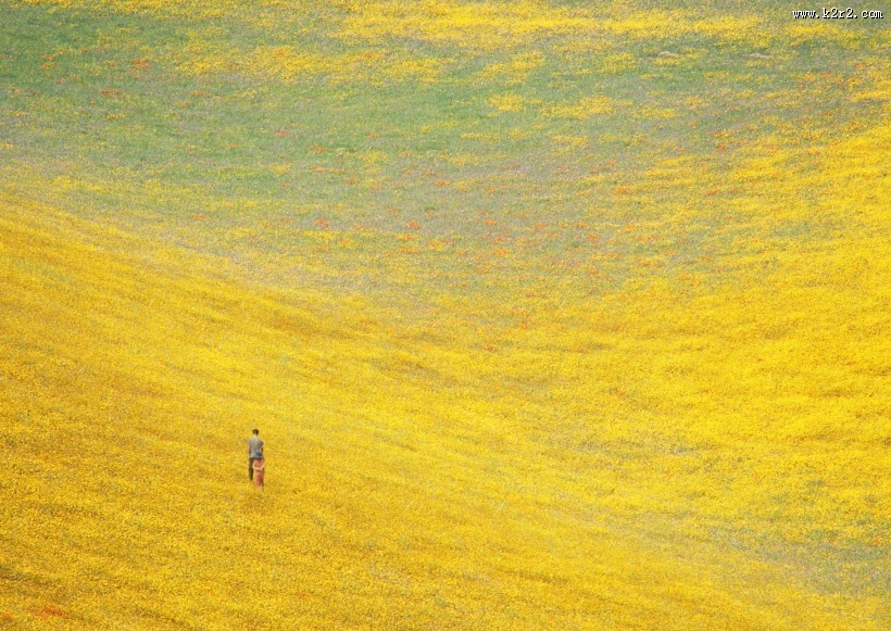 人与绿色大自然图片