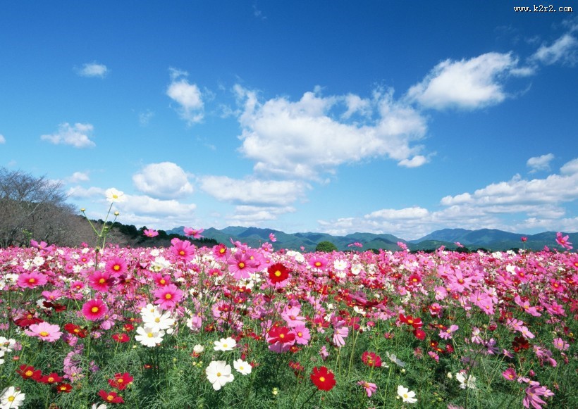 人与绿色大自然图片