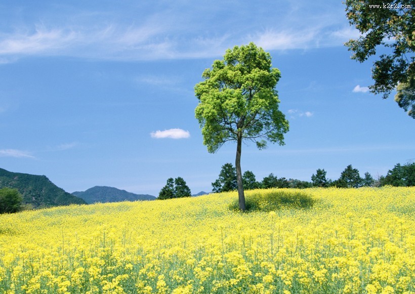 人与绿色大自然图片