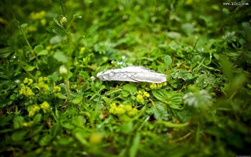 暗色风景图片大全