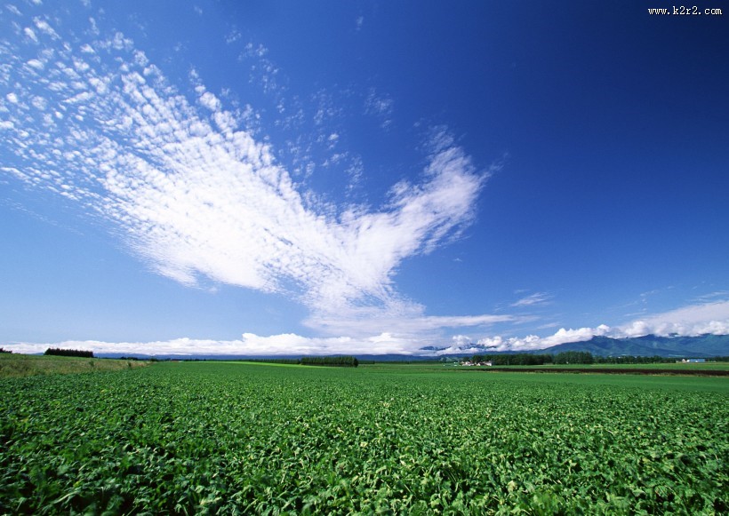 草原和蔚蓝的天空图片