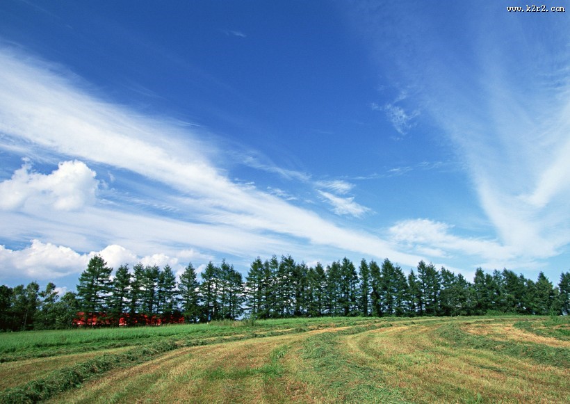 草原和蔚蓝的天空图片