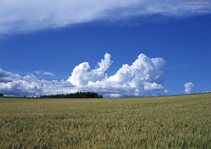 草原和蔚蓝的天空图片
