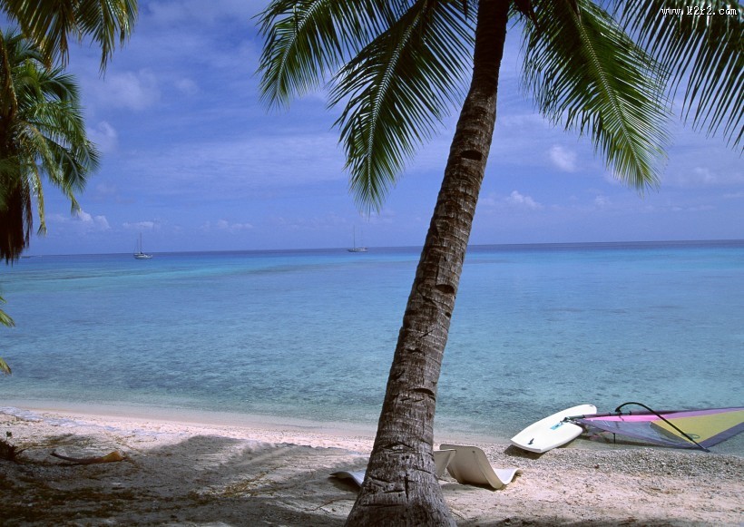 南太平洋群岛的图片