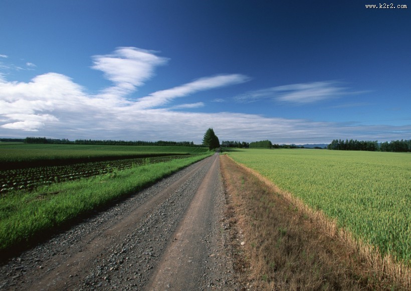 乡间小路图片