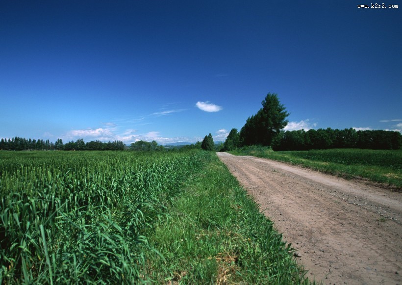 乡间小路图片