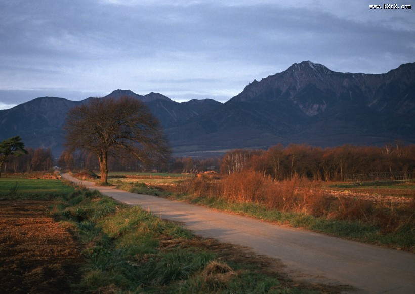 夕阳下的马路图片