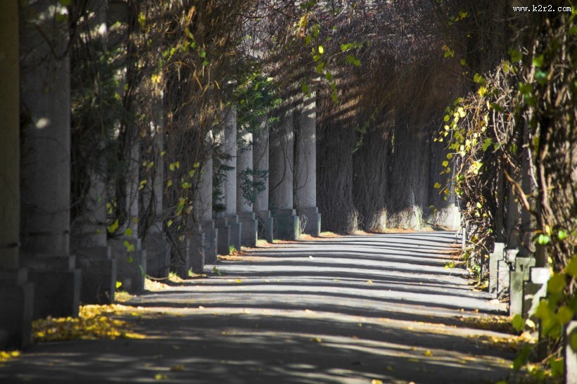 秋季马路图片大全