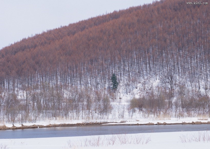 冬天的风景大全