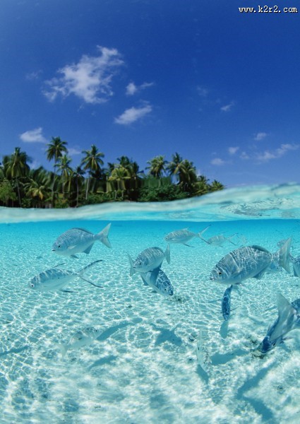 缤纷碧蓝的海滨图片