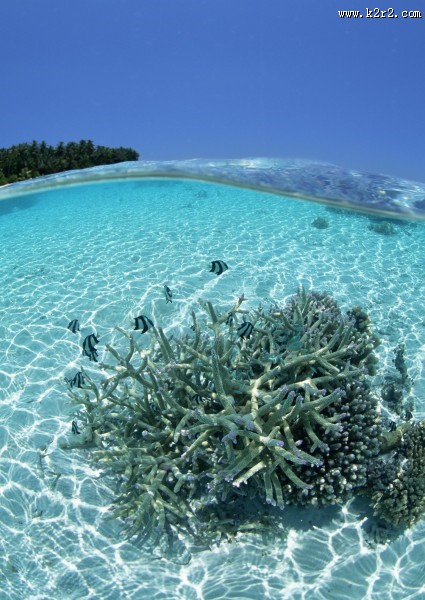 缤纷碧蓝的海滨图片