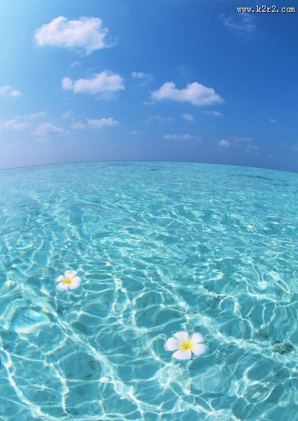 缤纷碧蓝的海滨图片