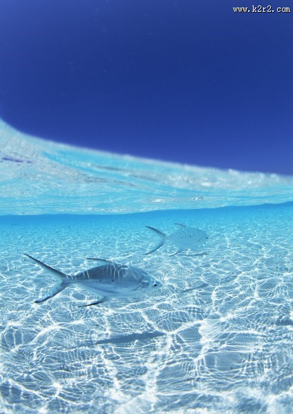 缤纷碧蓝的海滨图片