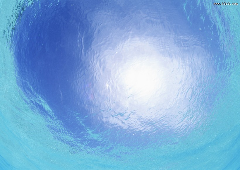 从水下往上看的图片