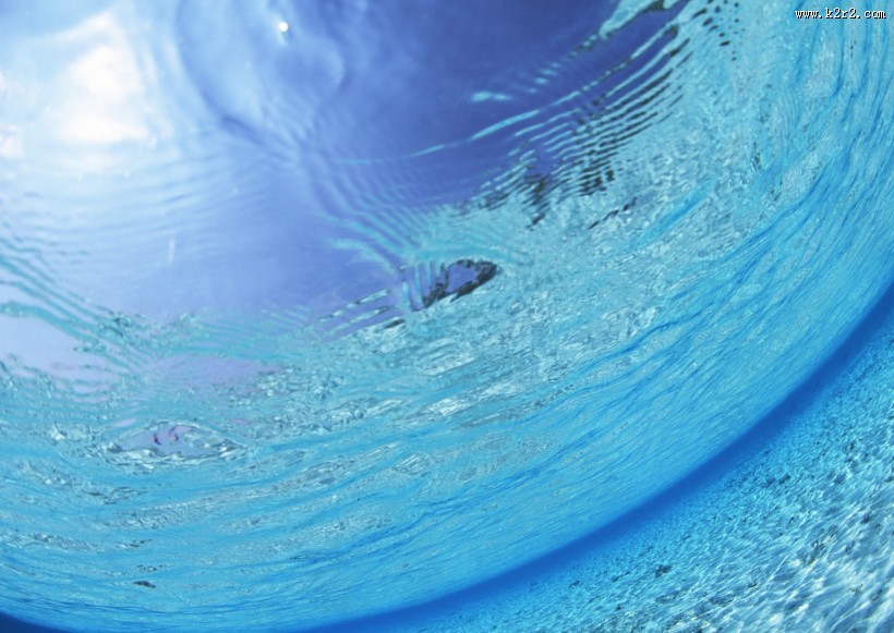 从水下往上看的图片