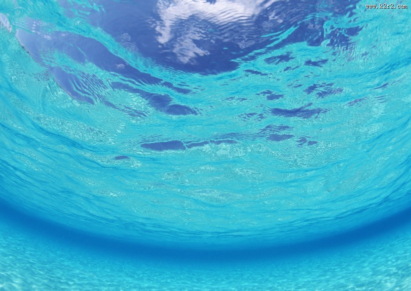 从水下往上看的图片