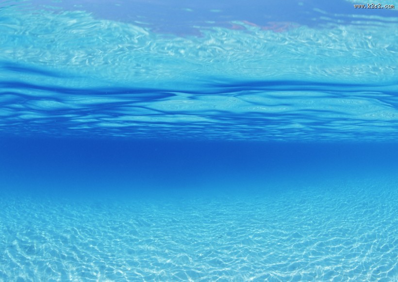 从水下往上看的图片
