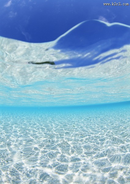 从水下往上看的图片