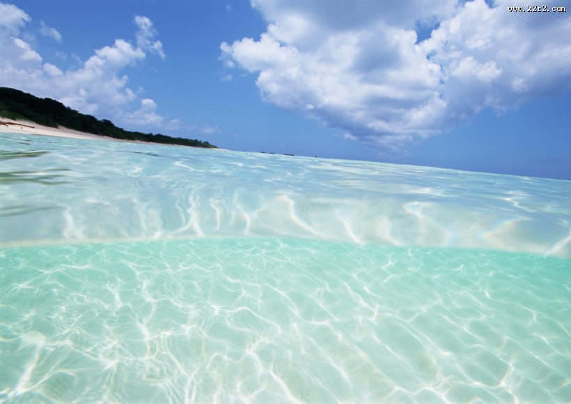 从水下往上看的图片