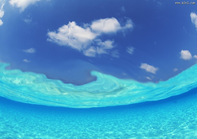 从水下往上看的图片