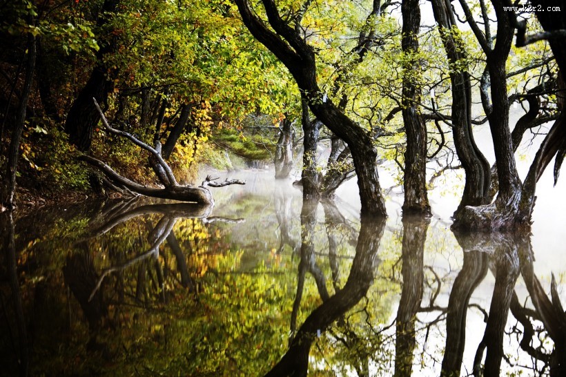 湖面倒影风景图片