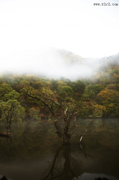 云雾缭绕风景图片