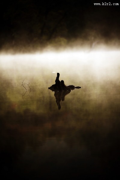 云雾缭绕风景图片