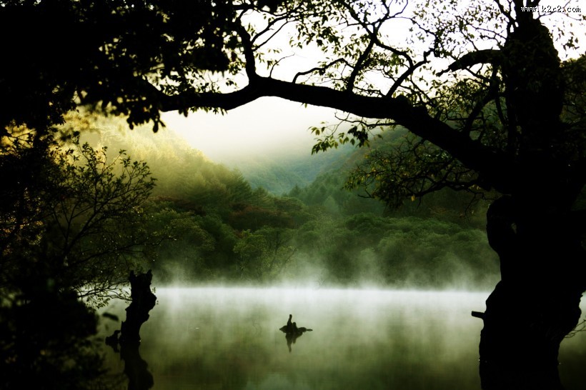 云雾缭绕风景图片