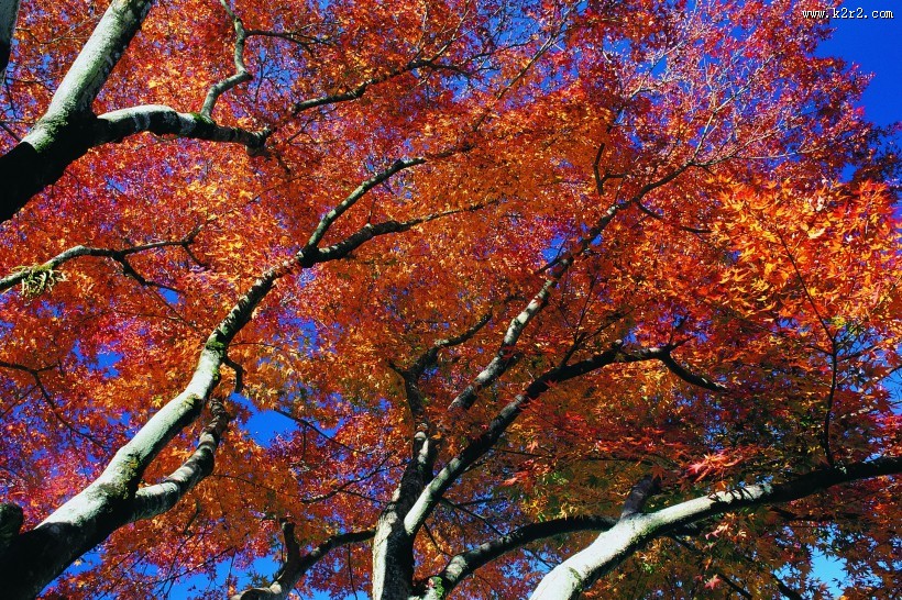 秋季风景图片大全