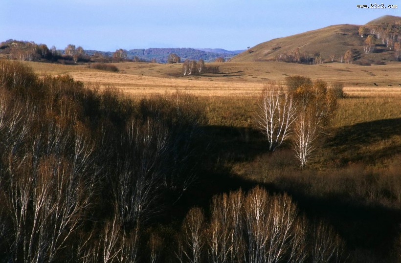 草原图片