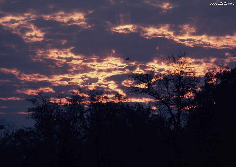 大自然的风景图片