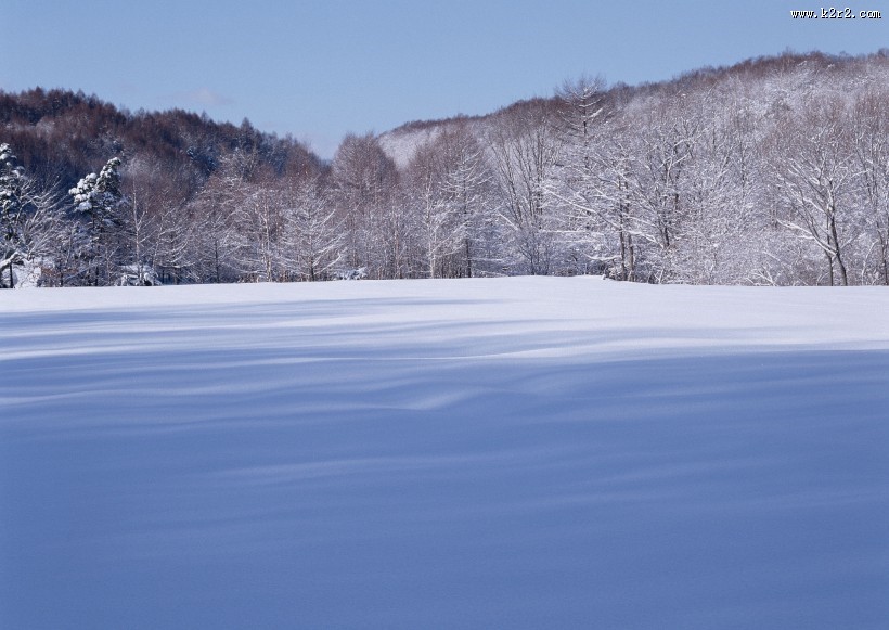 冬季风景图片大全