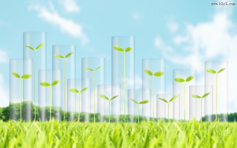 绿色与自然图片