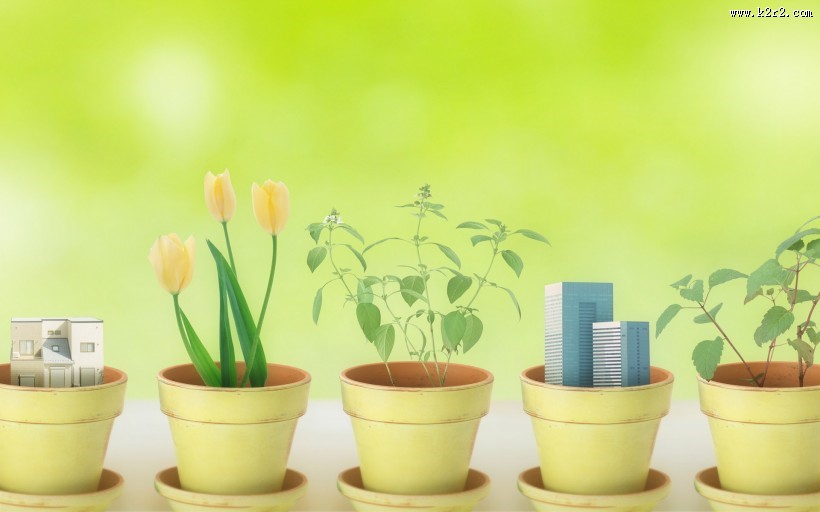 绿色与自然图片