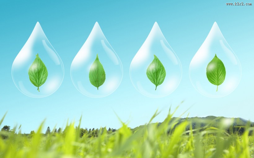 绿色与自然图片