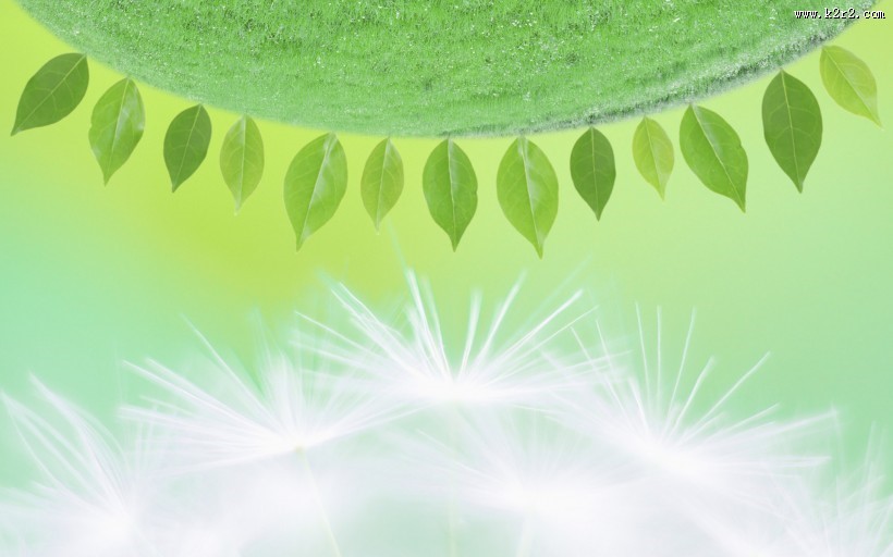 绿色与自然图片