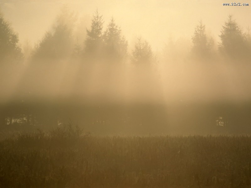 云雾缭绕自然风景图片