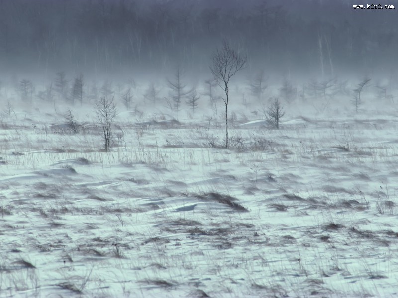 云雾缭绕自然风景图片