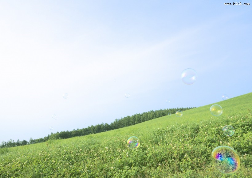 晴朗的天空和草地图片大全