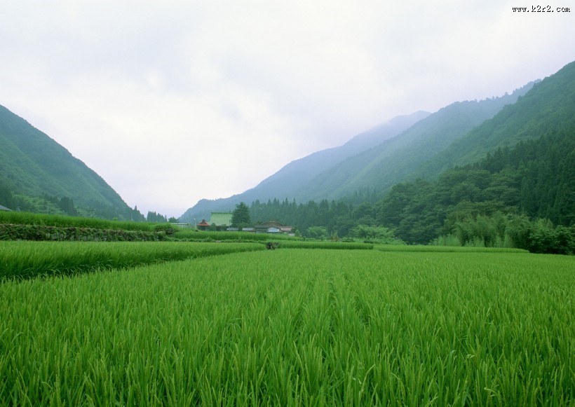 春天的田野图片