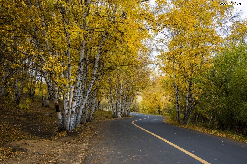 乌兰布统草原秋天自然风景图片