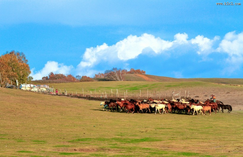 让人震撼的内蒙古乌兰布统唯美秋季自然风景图片