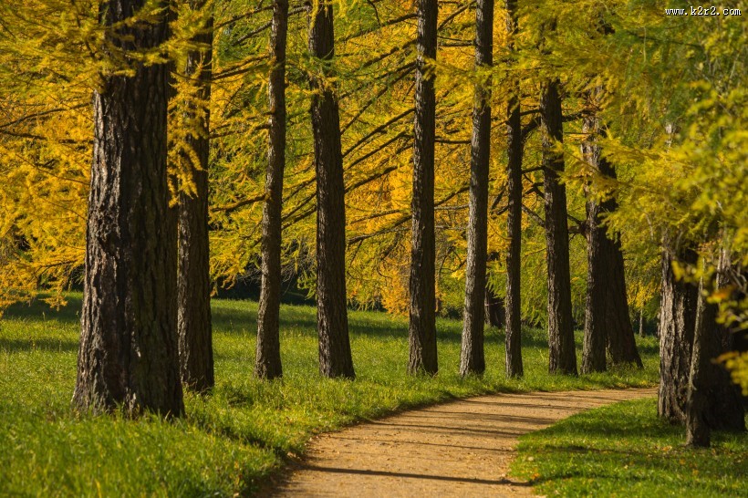 俄罗斯园林园林唯美秋季风景图片